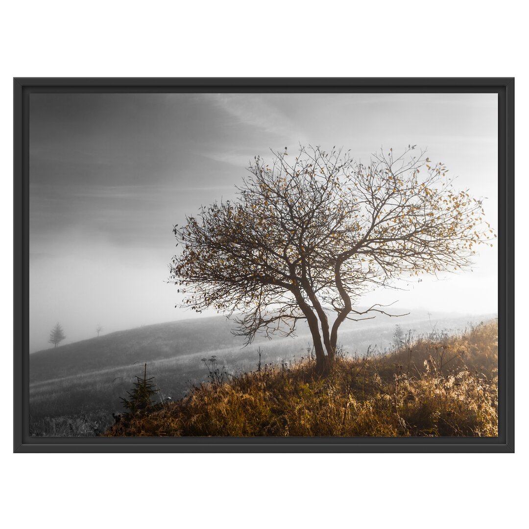 Gerahmtes Wandbild Einsamer Baum auf Berg