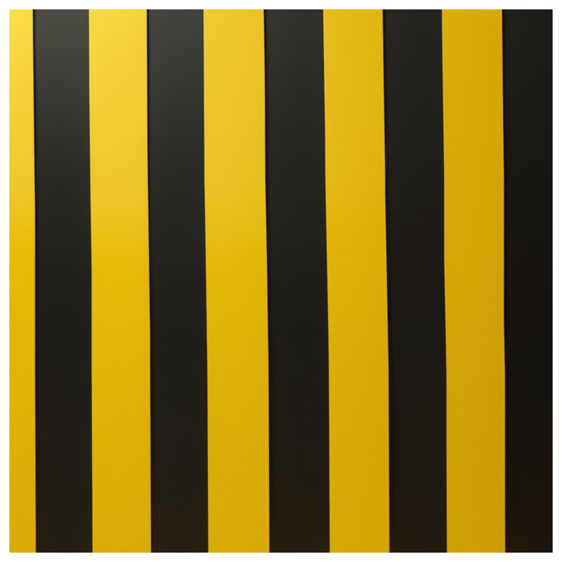 Couvertures à rayures jaunes et noires, L 50 po x H 60 po