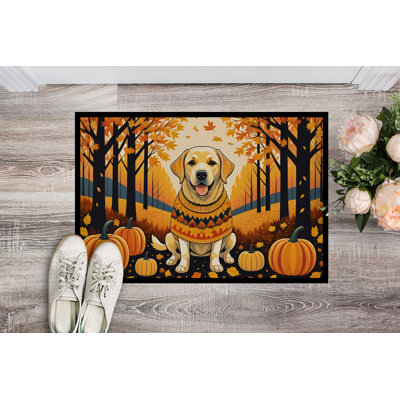 Centralmont Non-Slip Doormat