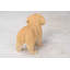 Statue chiot labrador debout-18377157