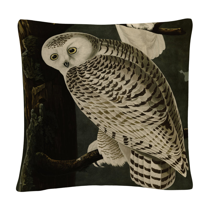 Coussin John James Audubon