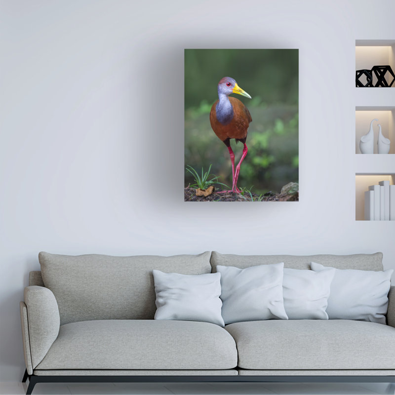 Greg Barsh Wood Rail Glimpse Canvas Art, 24" H x 18" W
