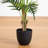 Artificial Areca Palm Tree-324821787