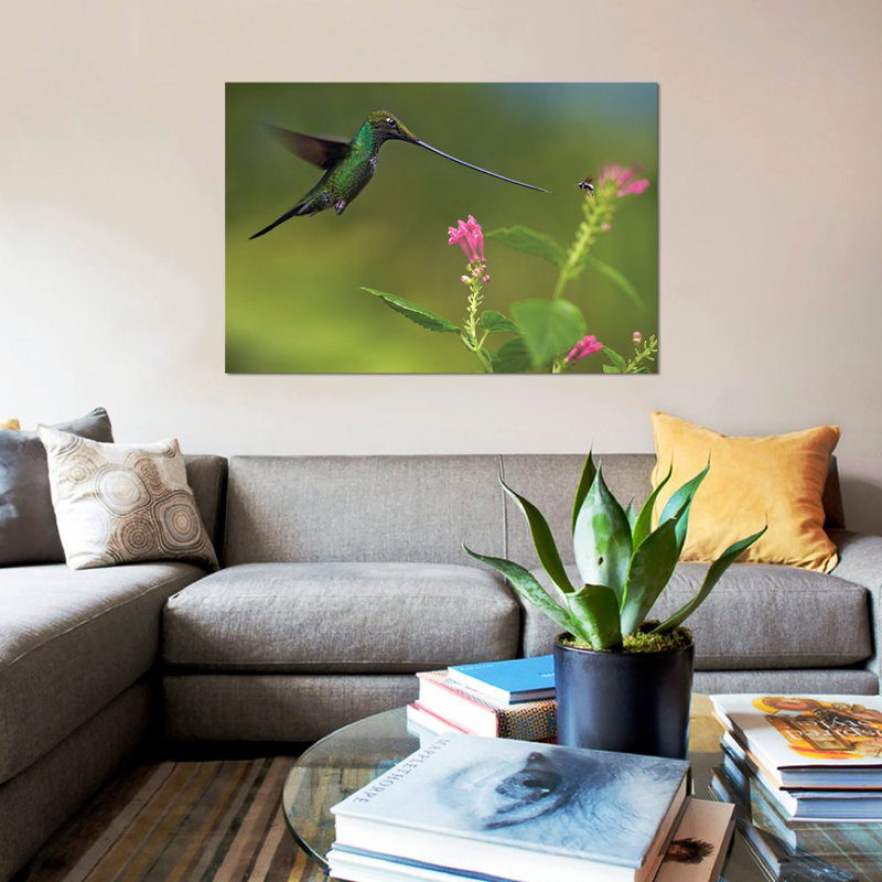 «Colibri à bec d'épée et insecte, Équateur» par Tim Fitzharris - reproduction de photo sur toile tendue, Pas de tapis