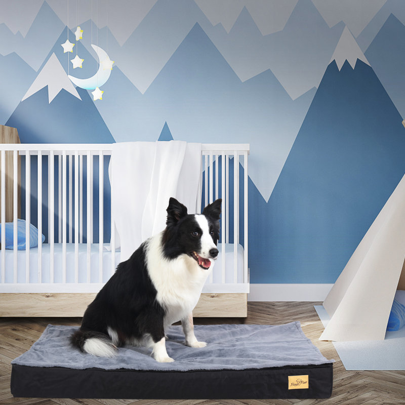 Orthopedic Pet Bed, 8cm H x 92cm W x 56cm D