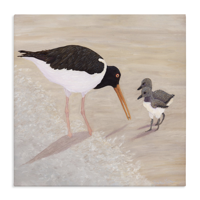Toile American Oyster Catcher & Chicks, conception par Barbara Fallenbaum, H 24 po x l 24 po