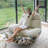 Multi-functional Ergonomic Casual Storage Recliner
