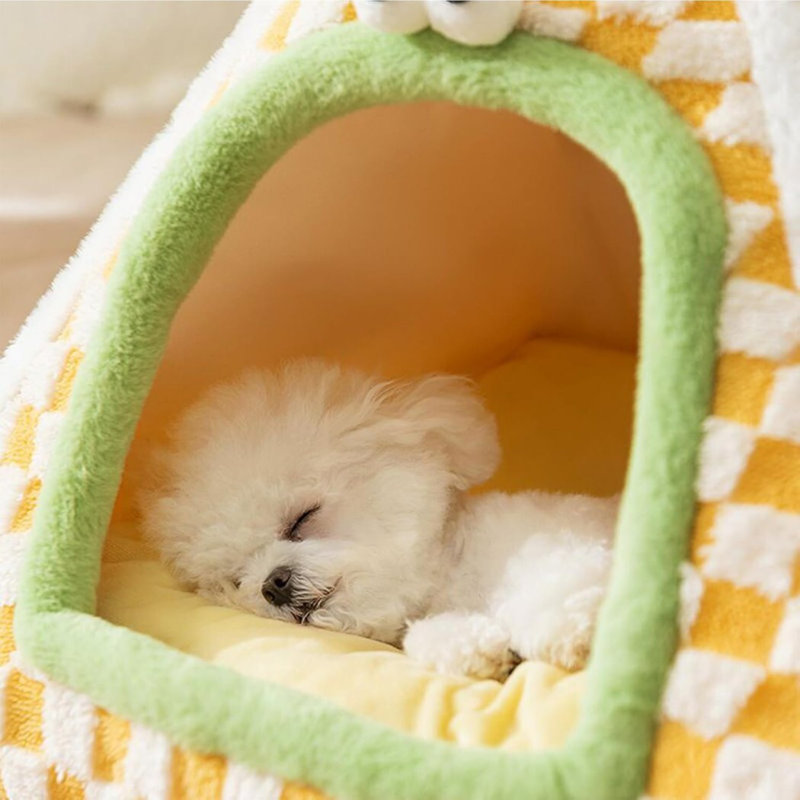 Lit pliant pour tente pour chien pliable, avec poignée de transport et base antidérapante, pour petit chiot chat