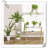 Bamboo Shelf Indoor
