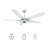 Striker Smart Ceiling Fan, Dimmable LED Light Kit & Remote Control, Works With Alexa/Google Home/Siri, Indoor/Outdoor-1140194599
