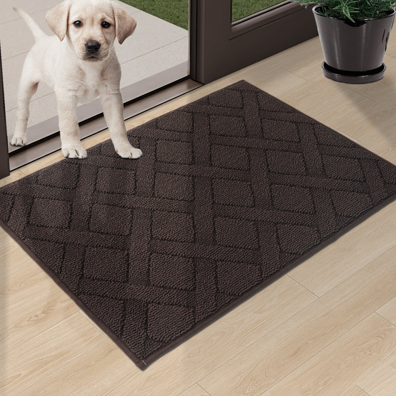 Dioselina Non-Slip Indoor Doormat, 24" W x 36" L, Brown