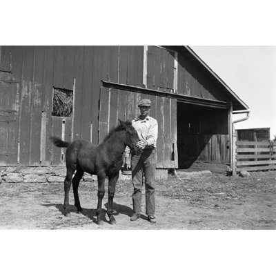 Farmer With Foal In Barnyard 1935, Retro by NNehring - No Frame Art Prints on Canvas