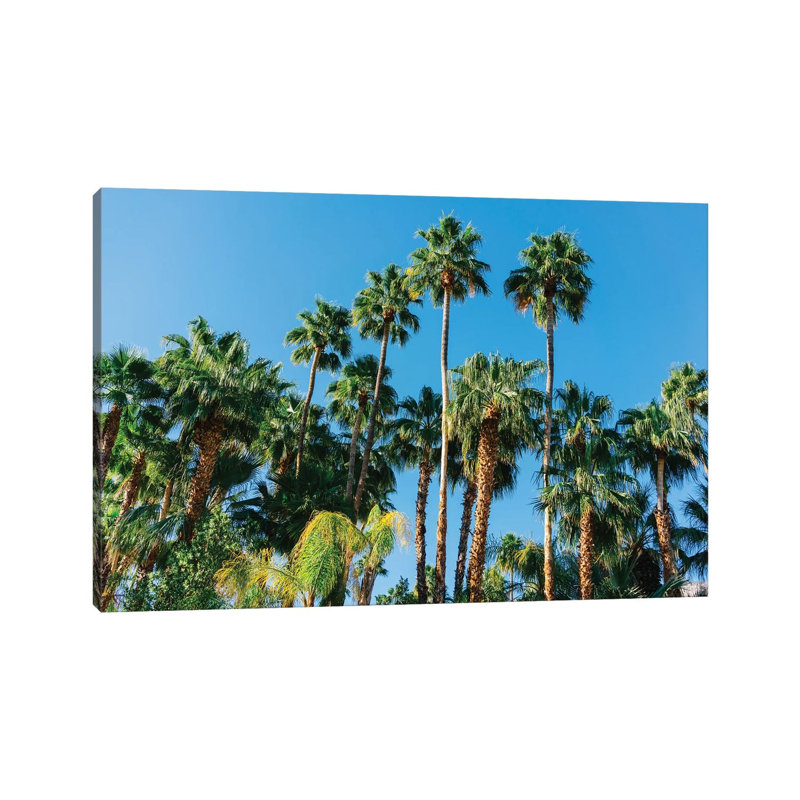 Palm Springs Palms III by Bethany Young - Print on Canvas, 30.48cm H x 45.72cm W x 1.91cm D, Wrapped Canvas