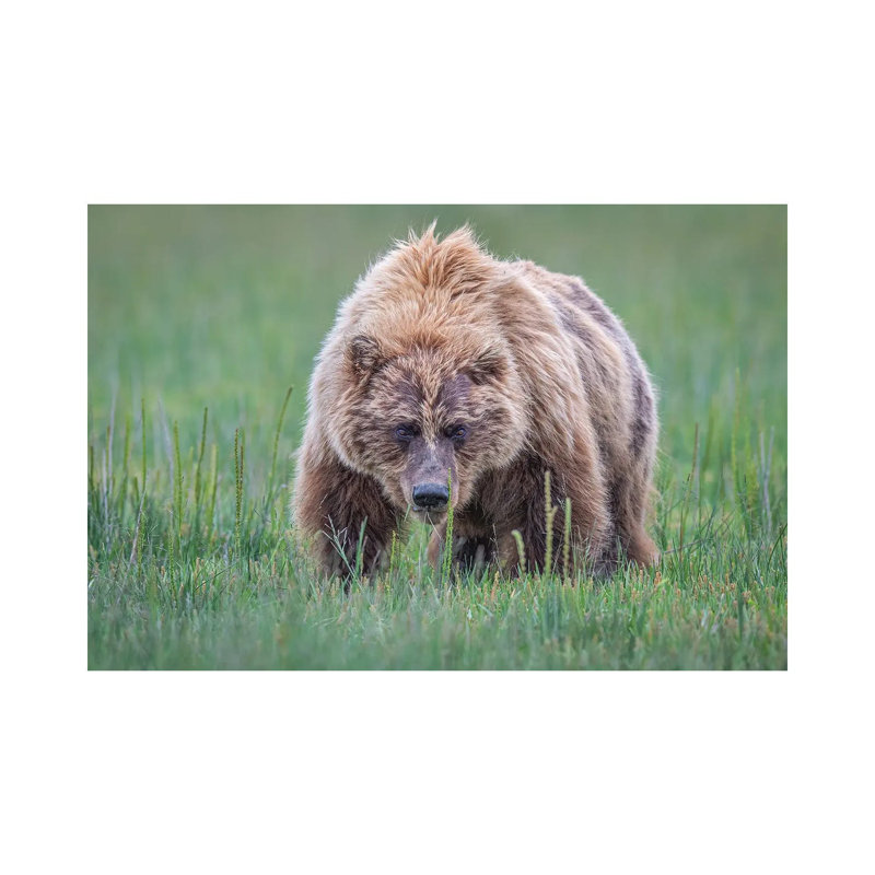 Coming Right At You by Jeffrey C. Sink - Wrapped Canvas Print, 20.32 cm H x 30.48 cm W