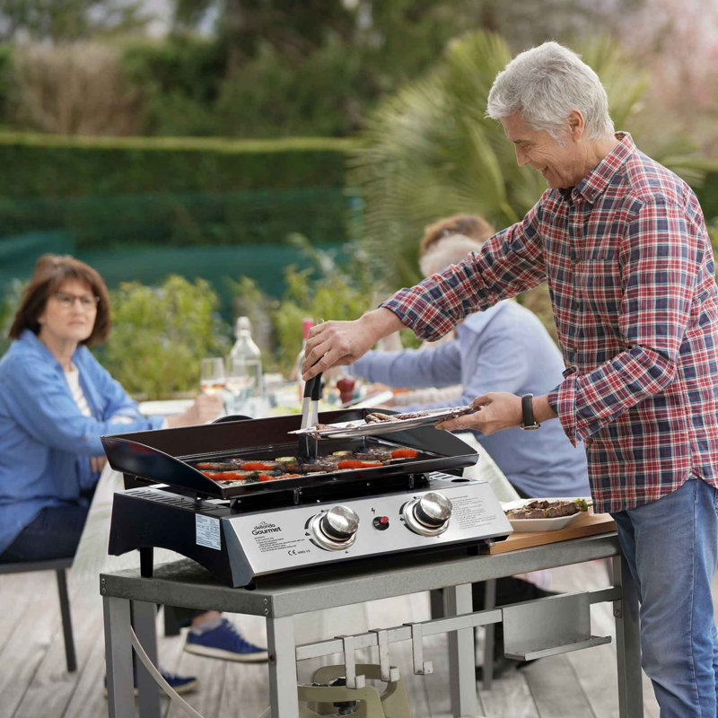 Dellonda 2 - Burner Portable Liquid Propane 17060 BTU BTU Gas Grill