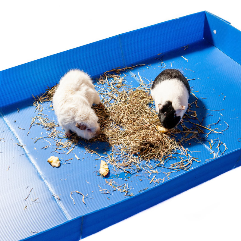 Doublure de cage en plastique ondulé pour animaux de compagnie Tucker Murphy ™ - 47 po x 24 po