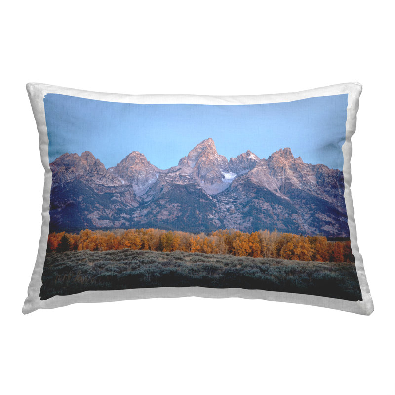 Throw Pillow