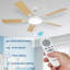 Ceiling Fan-2103513017-2103513022-2103513020