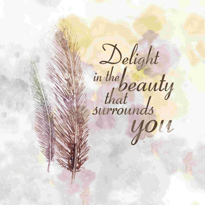 " Feather Beauty "