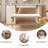 Beige Velvet Bench With Cabriole Legs-137548328