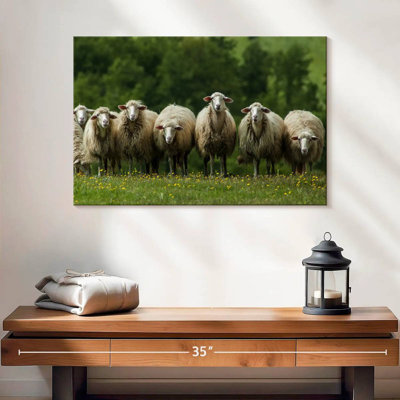 Mouton Brampt Toscane