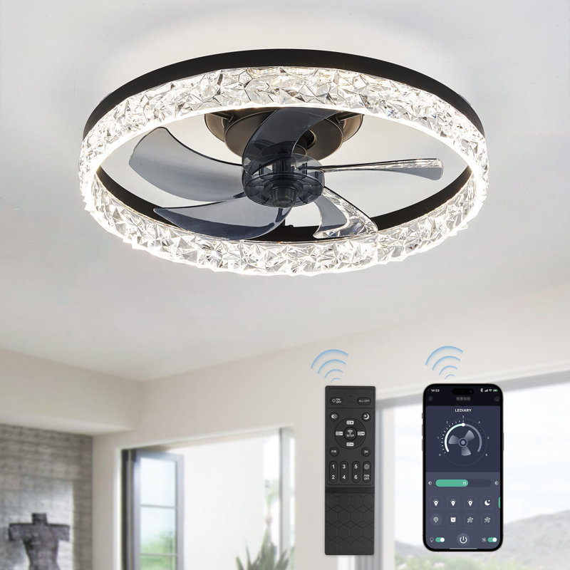 20 inch Modern Ceiling Fans with Lights and Remote, Black, Black