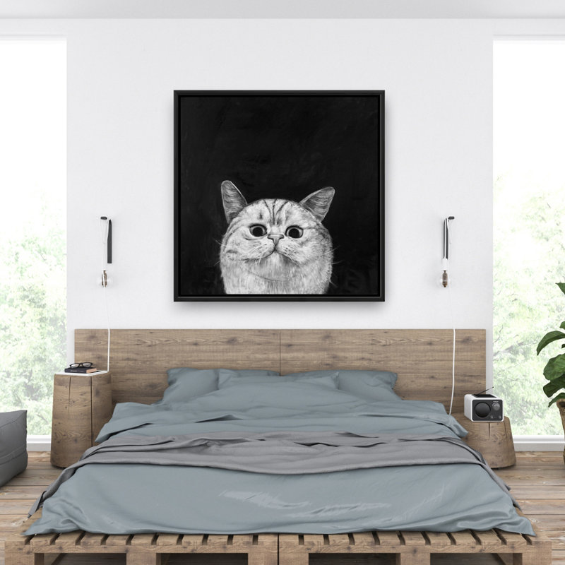 " Watching Cat "