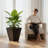 Large Flower Pot Planter Box