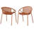Patio Dining Chairs Stackable Chairs with Breathable Design Modern Simple Art Style (Set of 2),Metal Legs+Plastic backrest-650798509