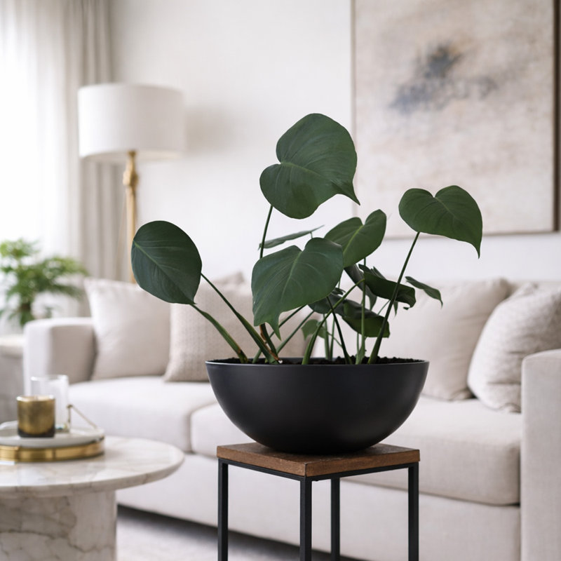 Grand pot à fleurs K22, H 7,5 po x l 22 po x P 22 po, Noir
