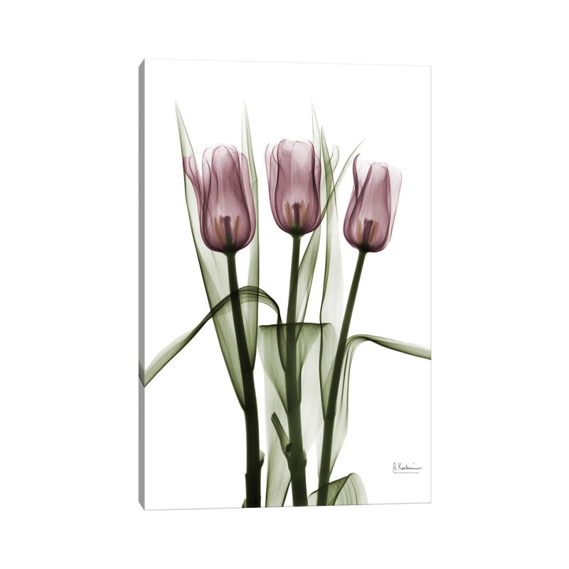 Tulips II by Albert Koetsier - Wrapped Canvas Print, 20.32 cm H x 30.48 cm W