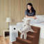 Grommit Stairs With 5 Steps-31132796