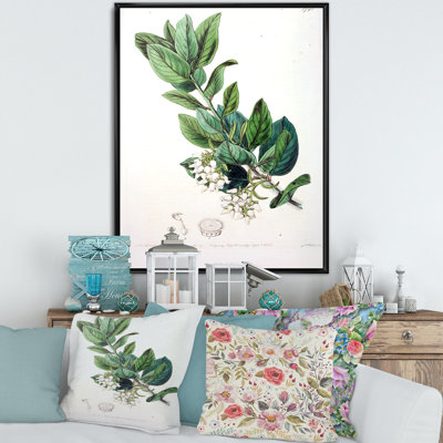 Vintage Botanicals XX - peinture sur toile
