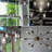 8 W ST19 E26/Medium (Standard) LED Smart Bulb-89223591