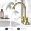2-handle Bathroom Faucet with Drain Assembly-90958615