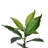 Potted Artificial Green Nandina Tree.-20583806