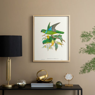 Lime&CeruleanParrotsII Framed Print - Solid Wood