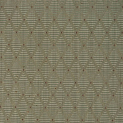 Allure Fabric