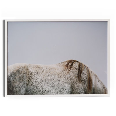 Graze Print