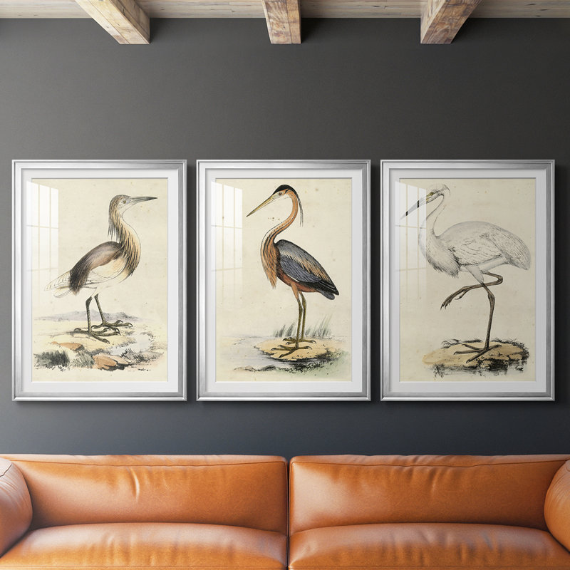 Antique Heron I - reproduction sur mesure encadrée de qualité supérieure - 3 pièces
