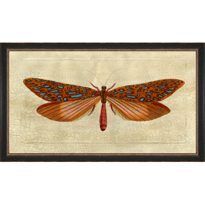 Crackled Moth 1 Painting