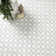 Bianco Dolomite Gridwork 12 in. x 12 in. Polished Marble Mosaic Tile