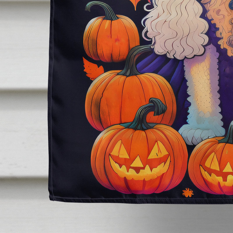 Jakameron Double Sided Polyester Halloween Garden Flag, 40" x 28"