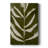Organic Bloom II -Gallery Wrapped Cavas