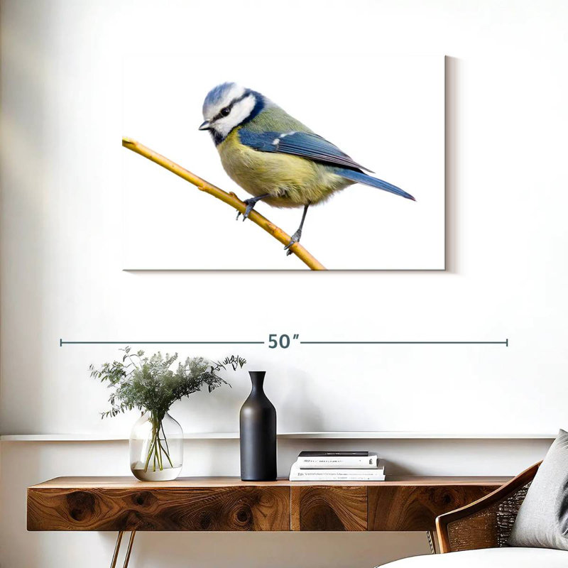 Feathery Blue Tit, H 24 po x l 36 po