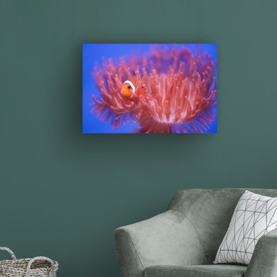 «Finding Nemo» par Wendy, reproduction de photo sur toile tendue