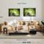 Spa zen-929219937-929219939