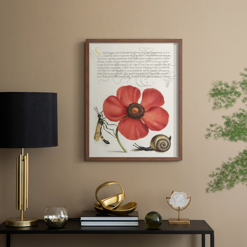 Reproduction encadrée Hoefnagel Tropical, H 11 po x l 9 po, Noyer