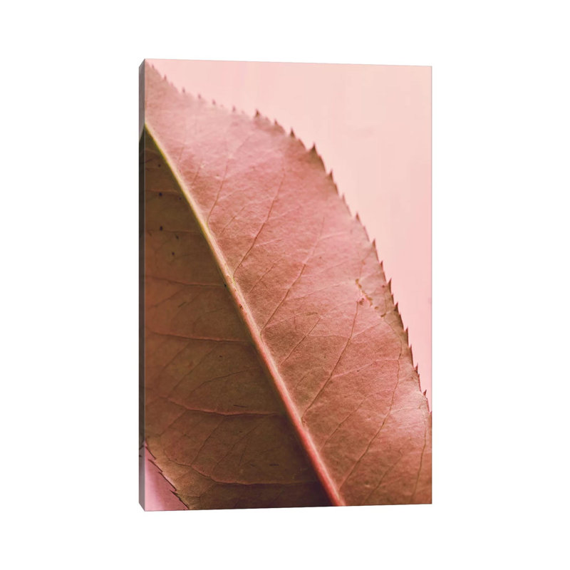 Foliage II by Olivia Joy StClaire - Wrapped Canvas Gallery-Wrapped Canvas Giclée, 101.6 cm H x 66.04 cm W x 3.175 cm D