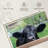 Brampt Nosy Ranch Cow-107707828
